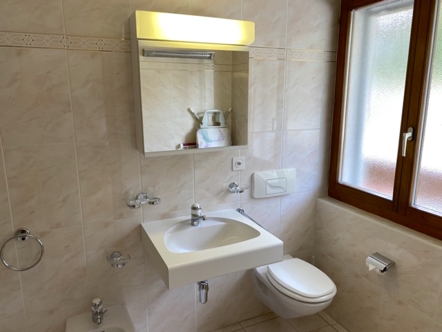Gäste-WC mit Fenster und Waschbecken