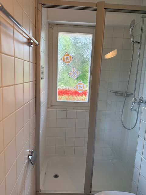 Badezimmer mit Dusche und frosted Fenster