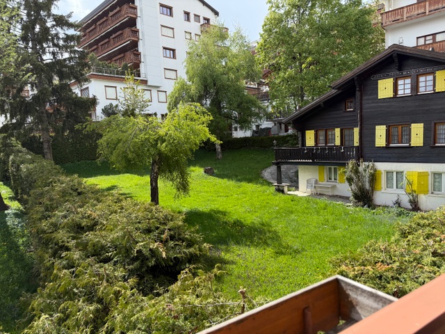 Garten mit Chalet und Mehrfamilienhaus