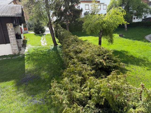 Garten mit Rasen und Wohnhaus
