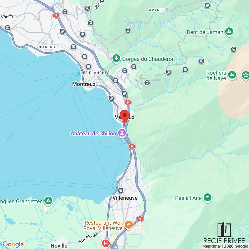 Kartenansicht mit Standortmarkierung am Genfersee