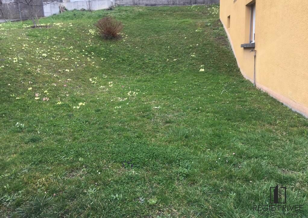 Rasenfläche neben Haus