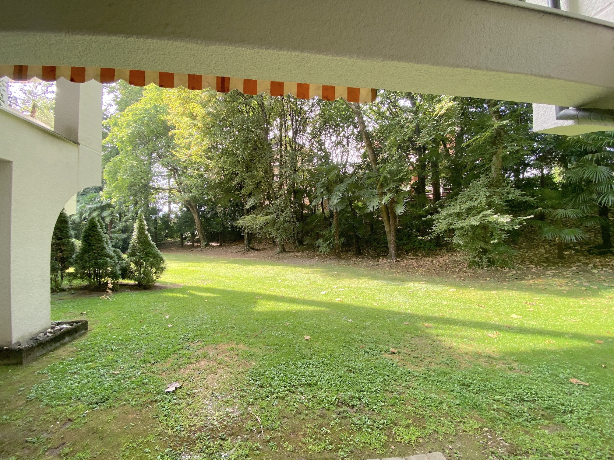 Überdachter Blick in einen grünen Garten