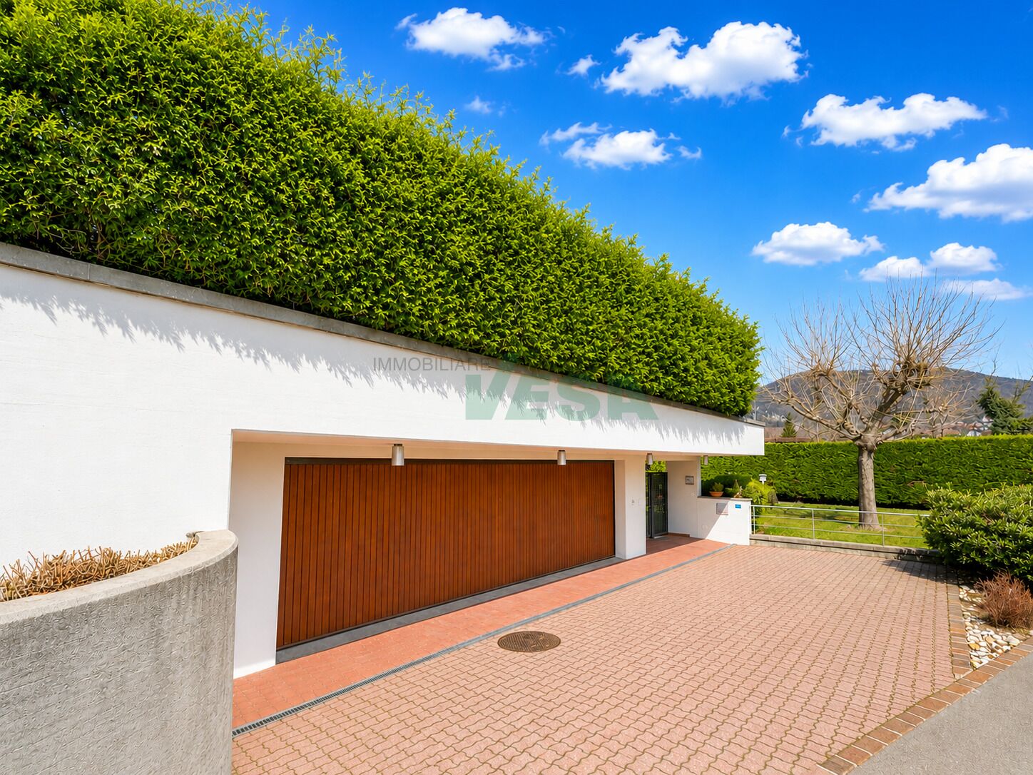Moderne Zufahrt mit Garage und Garten