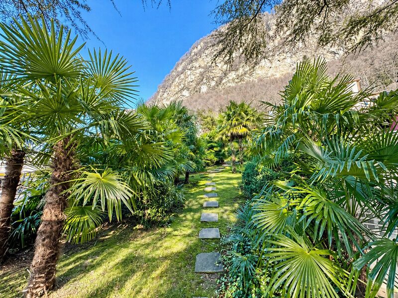 Tropischer Garten mit Bergkulisse