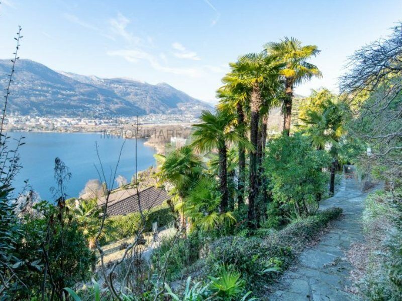 Seeblick mit mediterranem Gartenhang