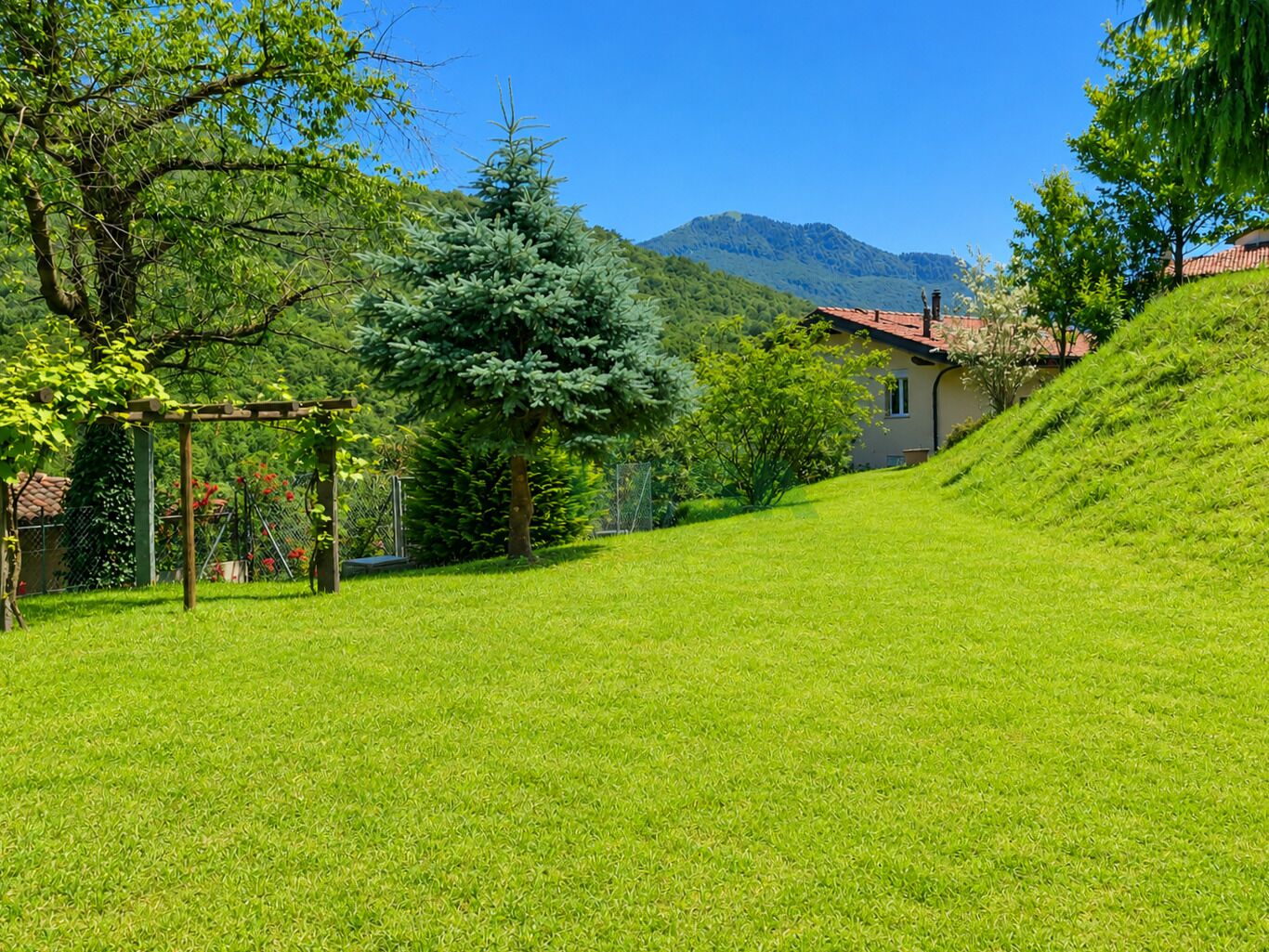 Großer Garten mit Bergblick