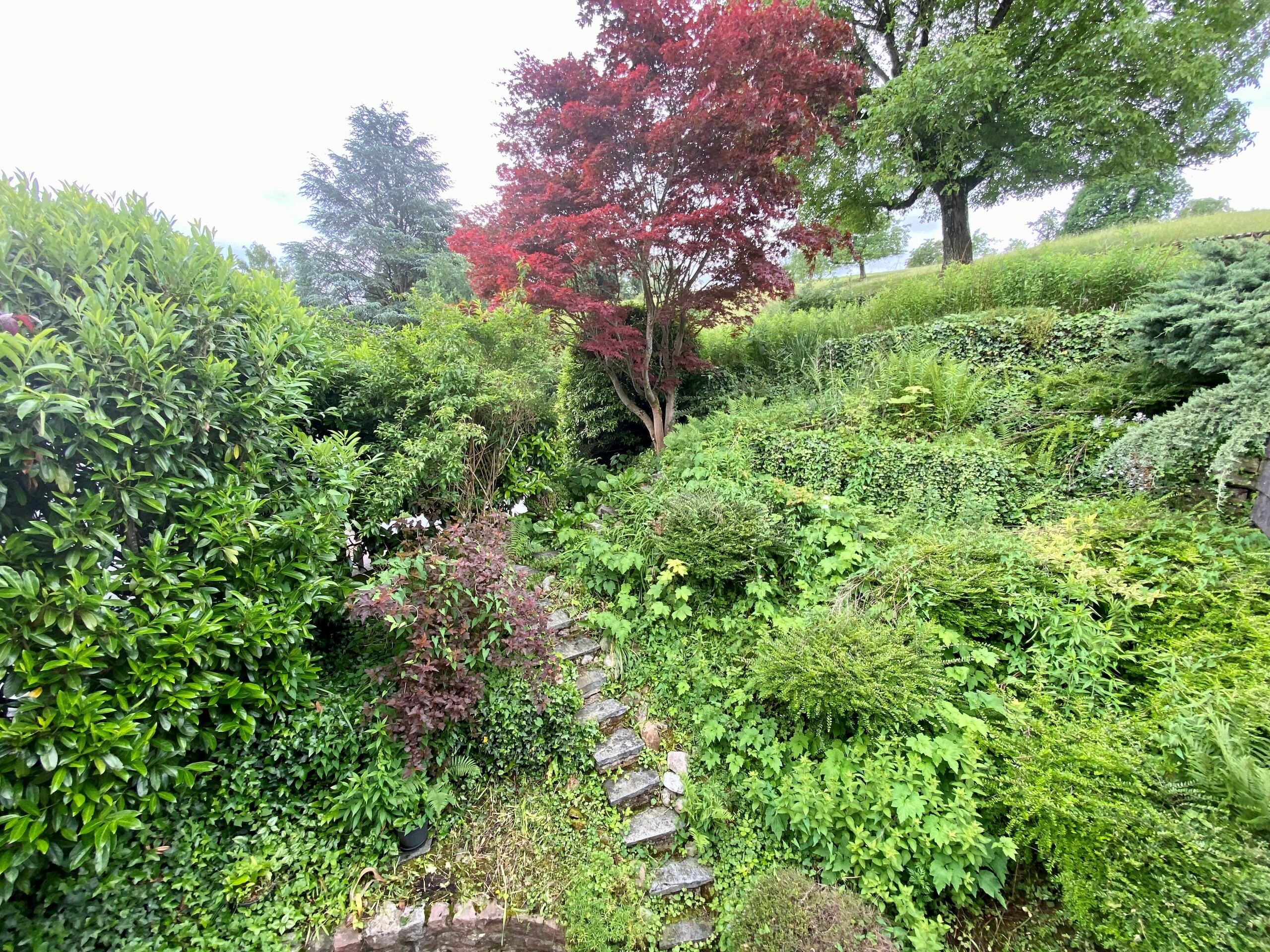 Üppiger Gartenhang mit Zierbäumen
