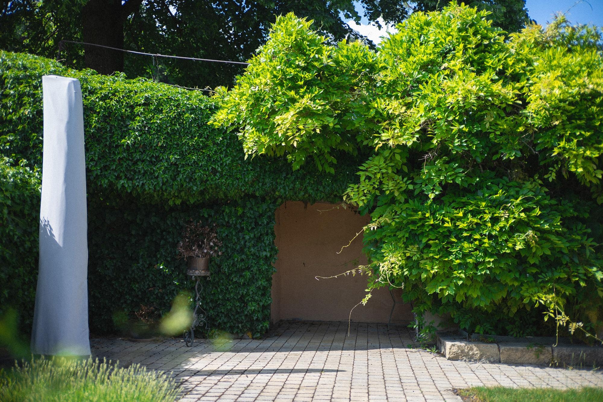 Verwachsene Garten- und Patioecke