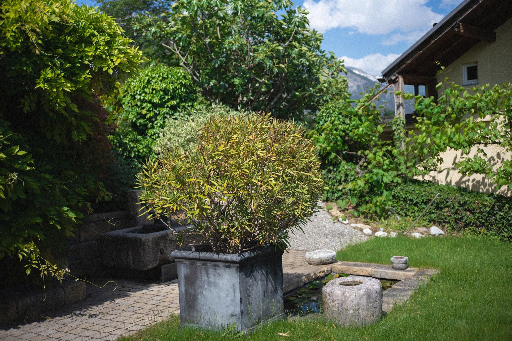 Grüner Garten mit Haus und Bergblick