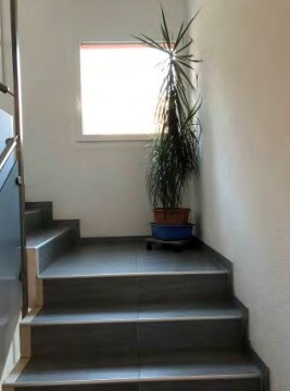 Treppenhaus mit Pflanze