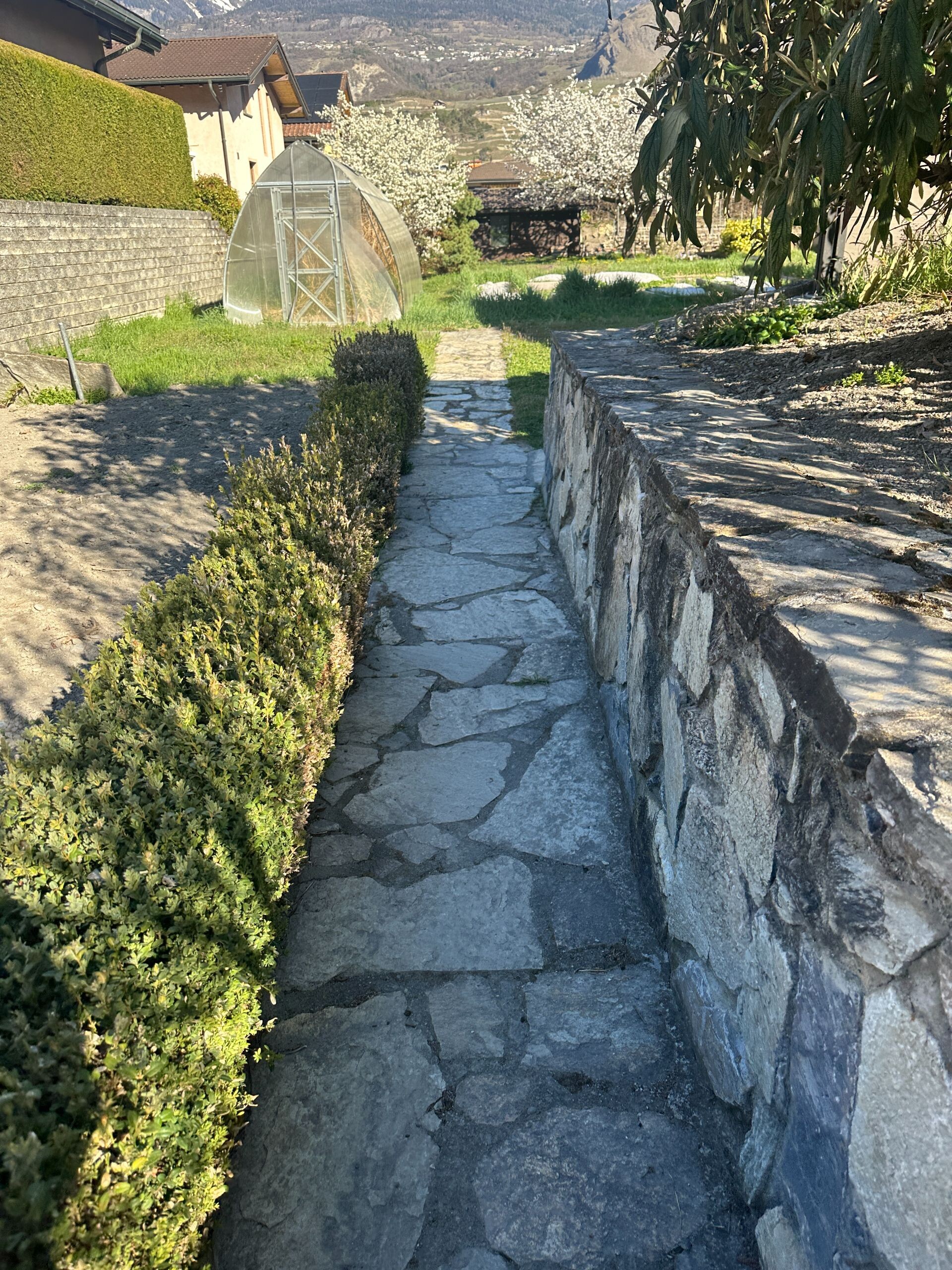 Steinweg im Garten