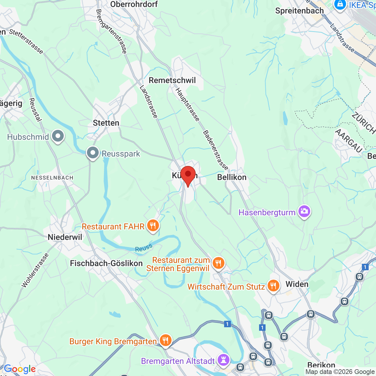 Kartenausschnitt mit markiertem Standort in der Region Zürich/Bremgarten