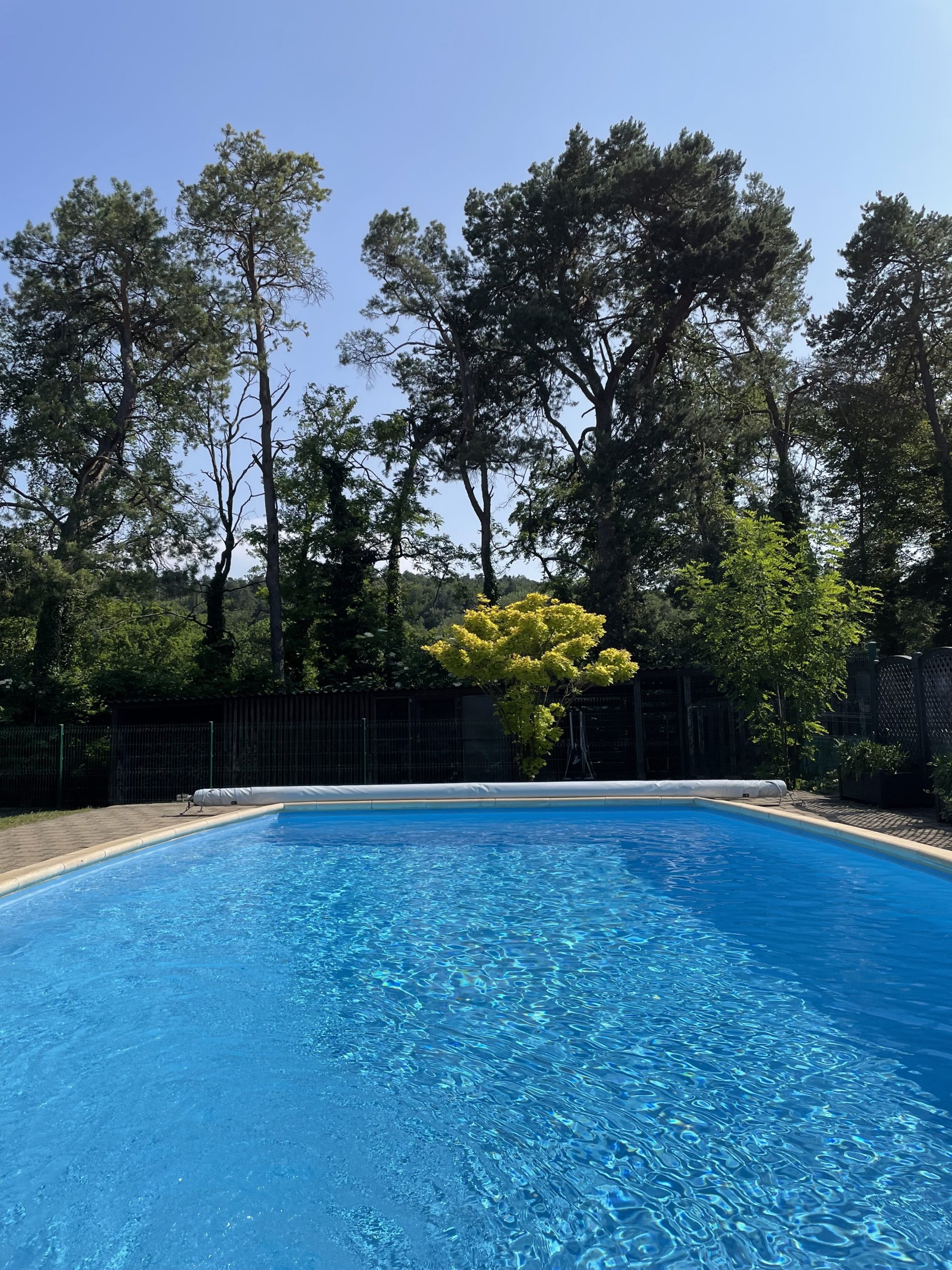 Außenpool im Grünen