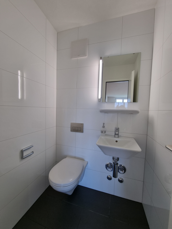 Modernes Gäste-WC mit Wand-WC und Waschtisch
