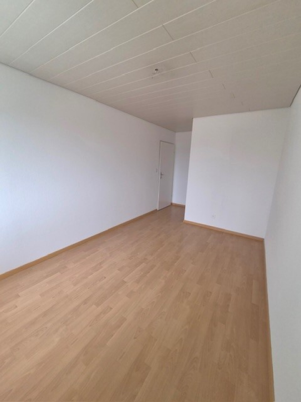Leerer Innenraum mit Laminatboden