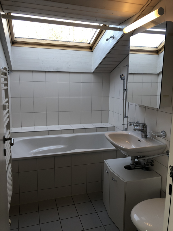 Kleines Badezimmer mit Dachfenstern
