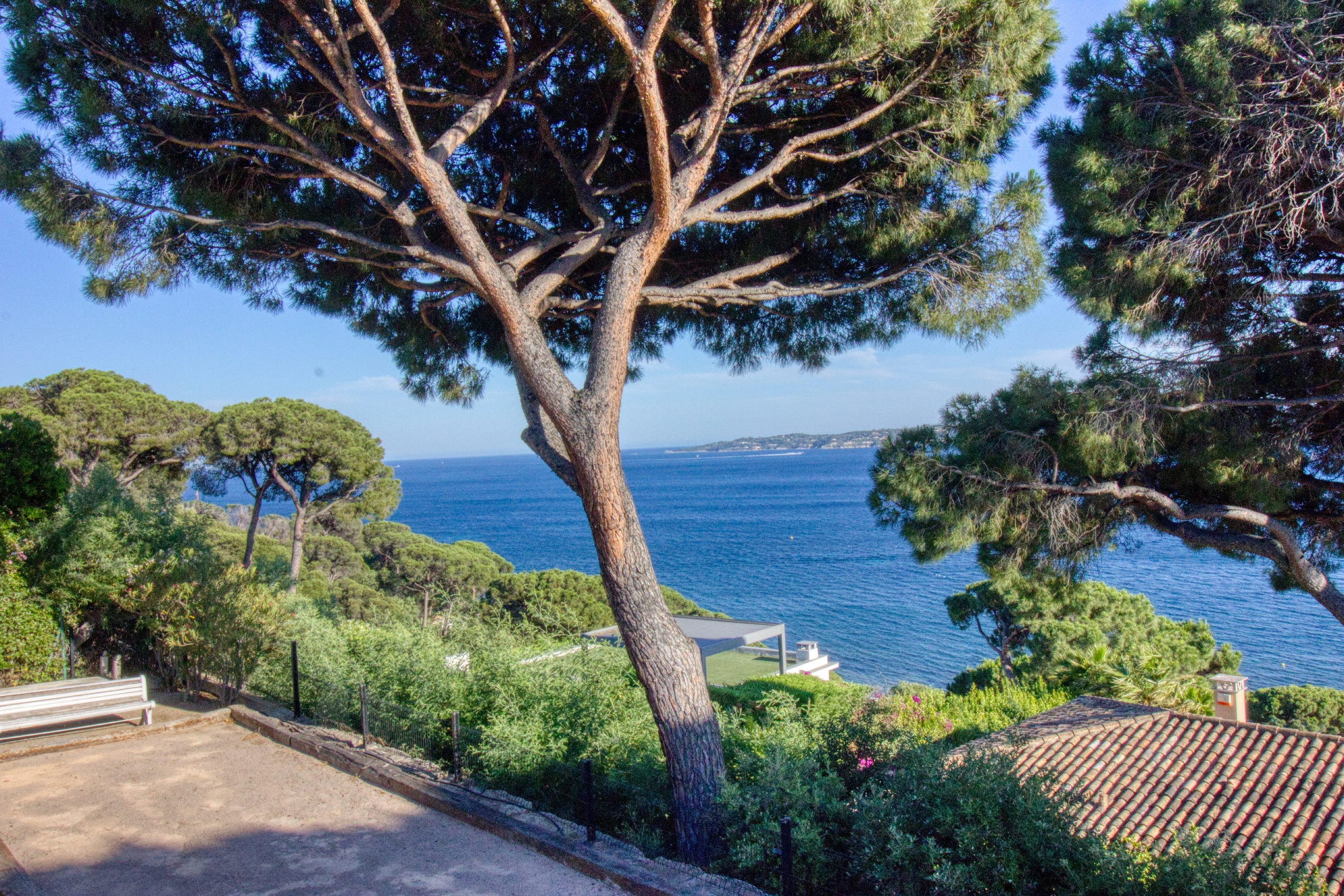 Meerblick mit Pinien und Terrasse