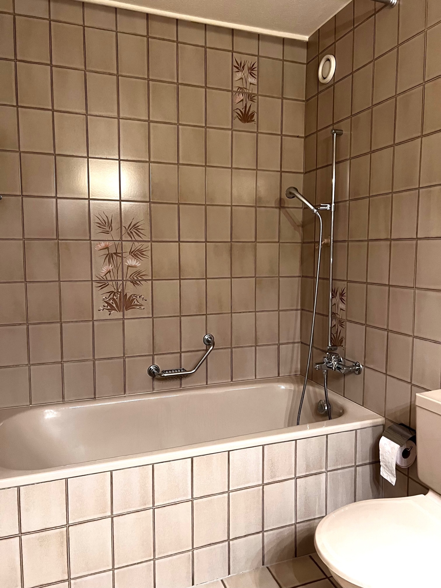 Badezimmer mit Badewanne und Duschbereich