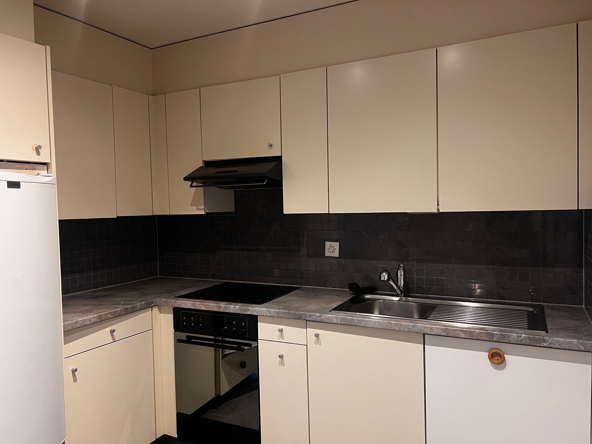 Moderne Einbauküche in L-Form