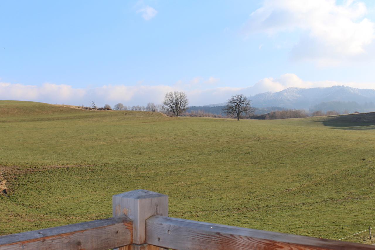 Landschaftsblick von einer Terrasse oder einem Balkon