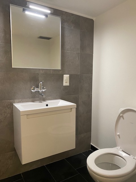 Modernes Gäste-WC mit Waschtisch und Toilette