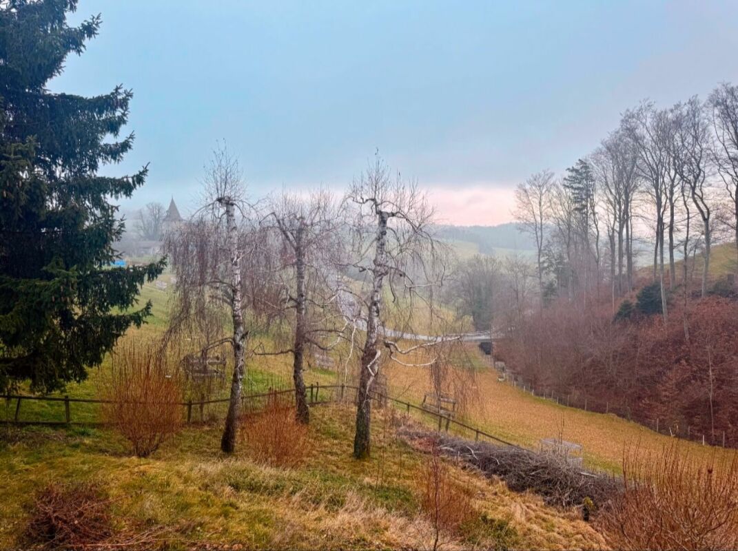 Ländliche Landschaft mit Bäumen und Hügeln