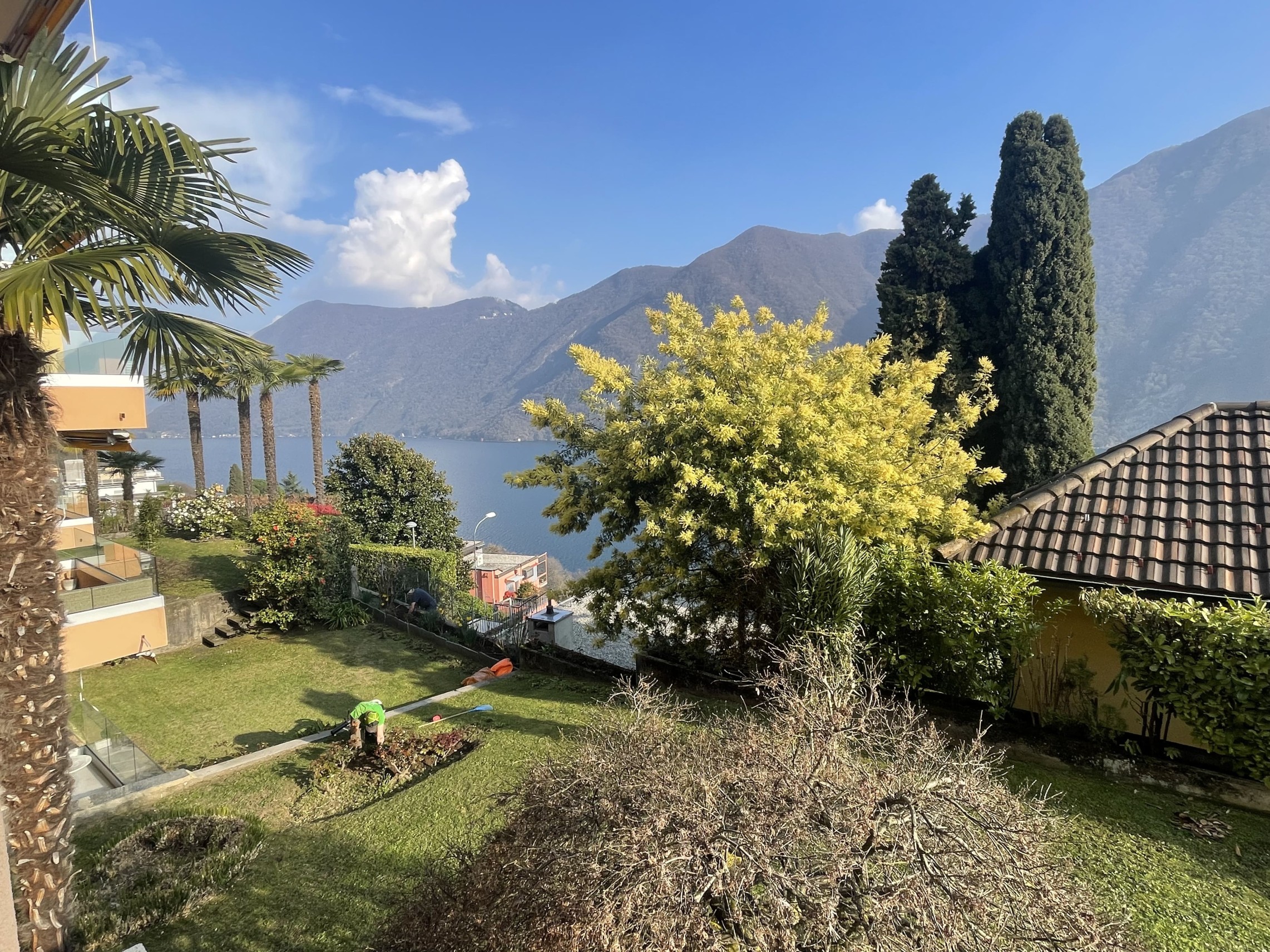 Seeblick mit Garten und mediterraner Vegetation