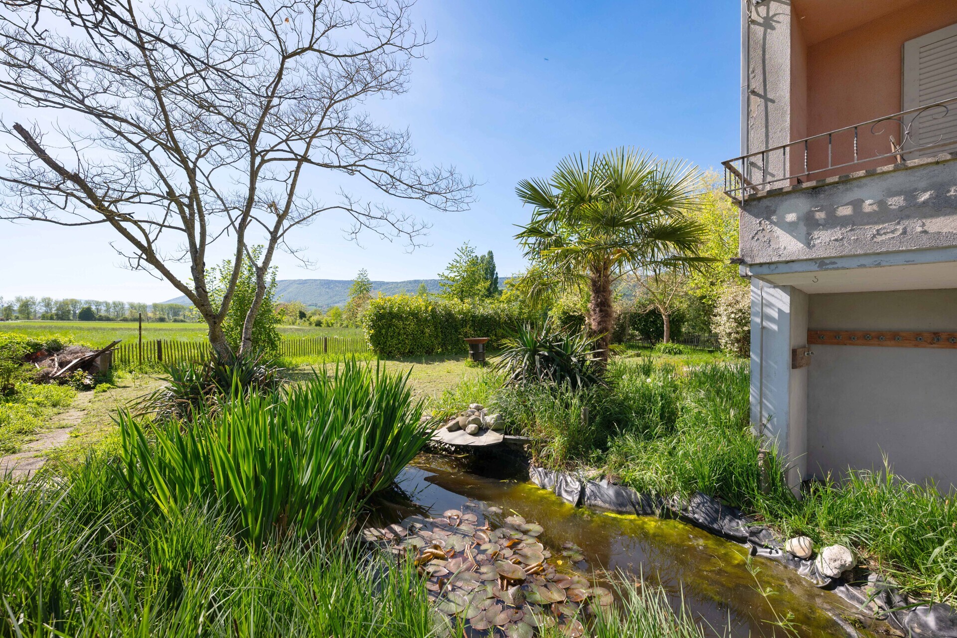 Garten mit Teich und Hausfassade