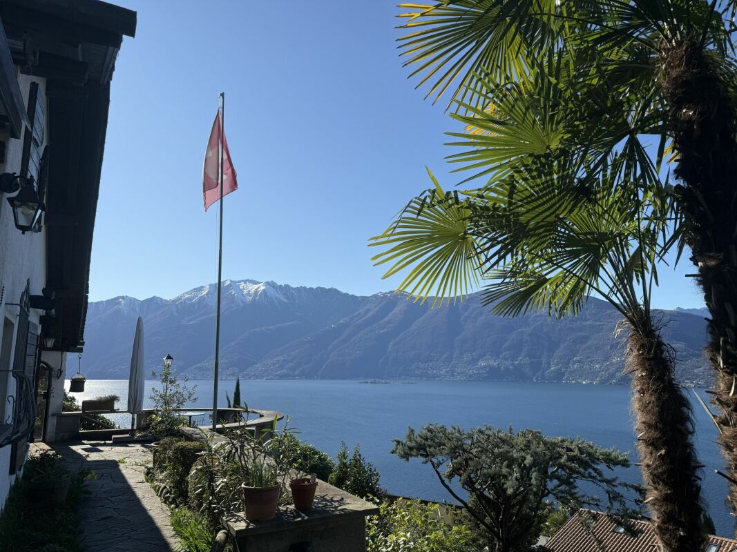 Seeblick mit Terrasse und Palmen