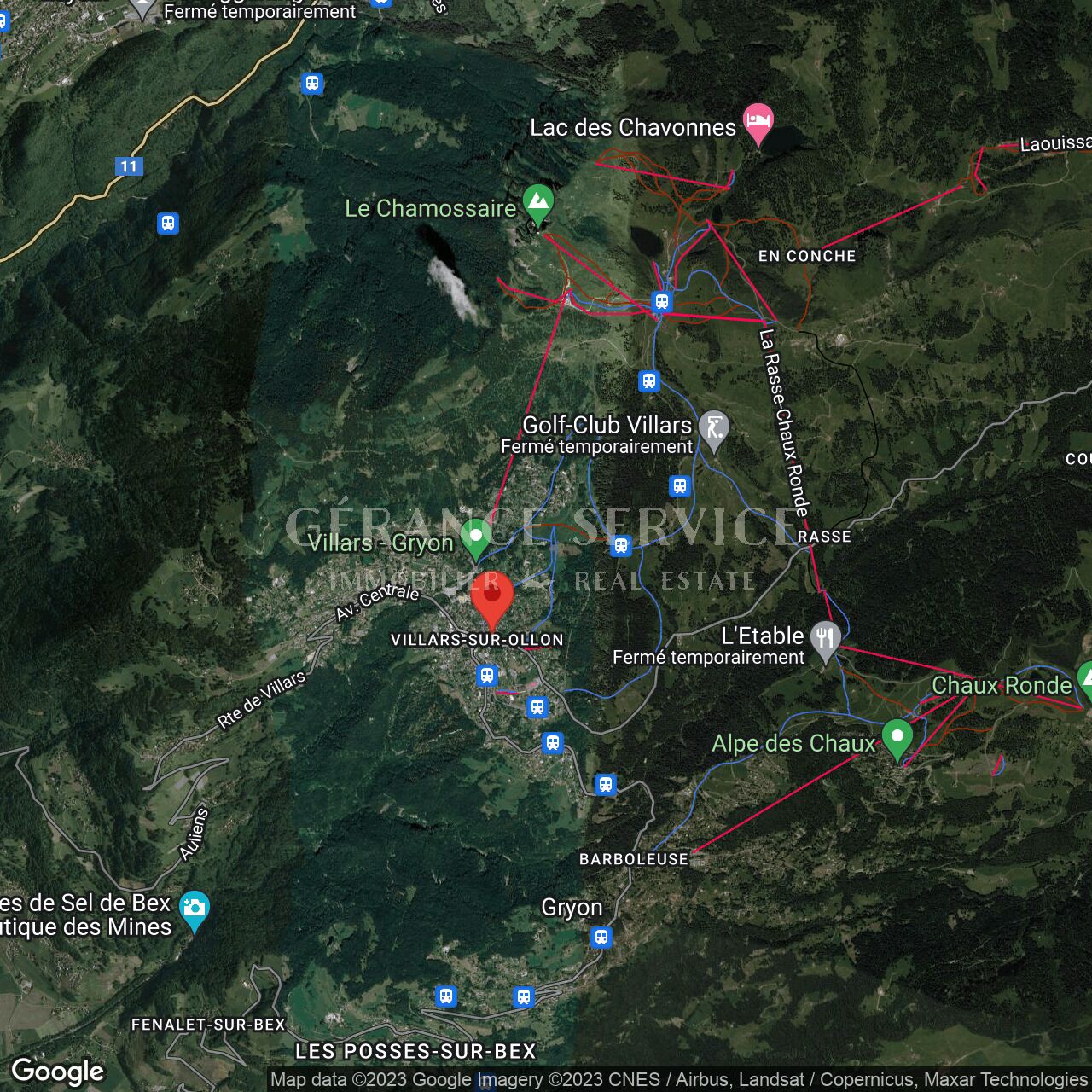 Satellitenkarte einer alpinen Region
