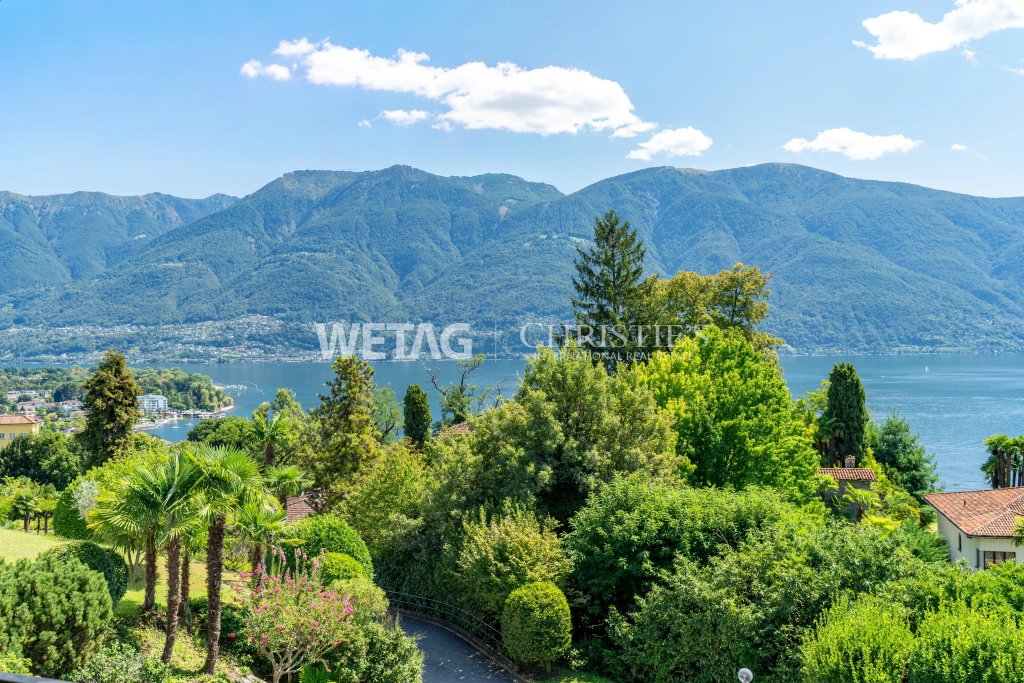 Seeblick mit Bergpanorama und üppiger Gartenlandschaft