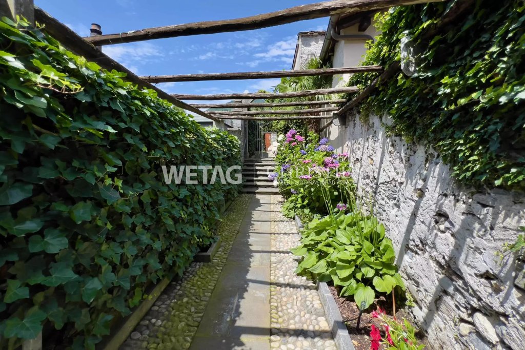 Gepflasterter Gartenweg mit Begrünung