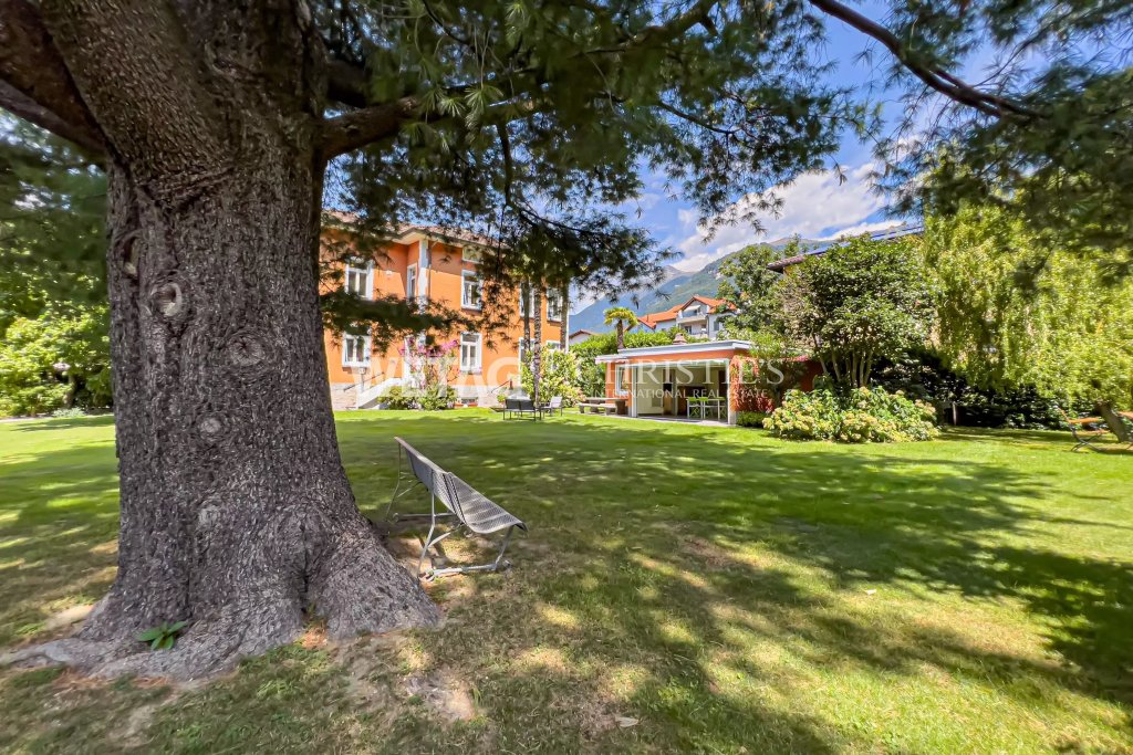 Garten mit großem Baum und Gebäude im Hintergrund
