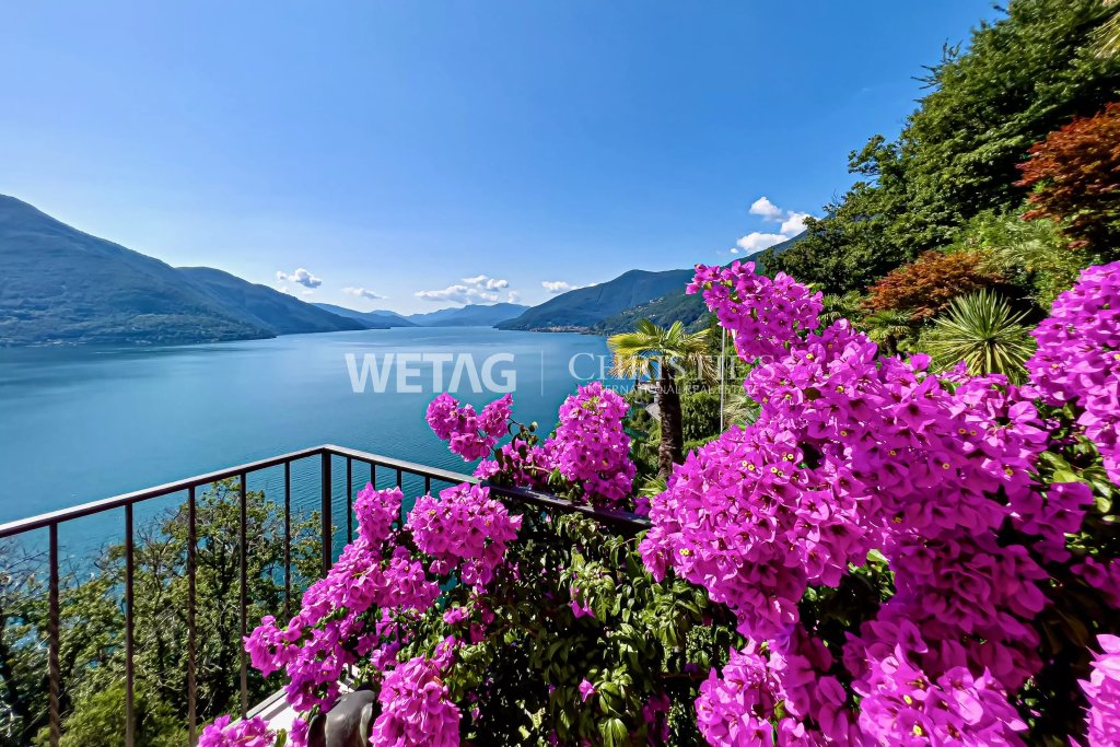 Balkon mit Seeblick und Blütenpracht
