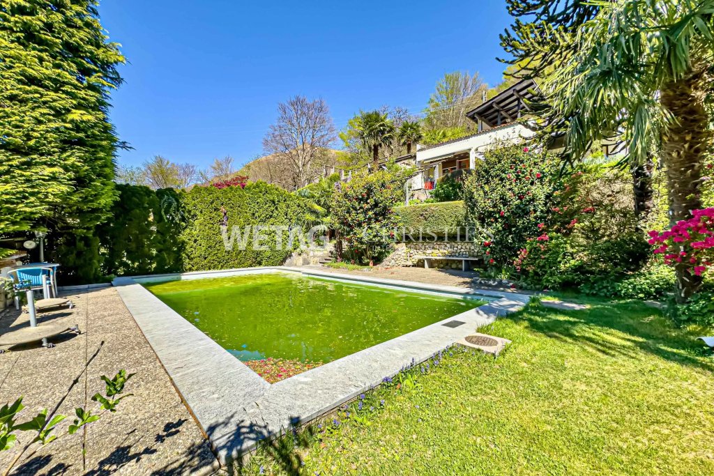 Garten mit Pool