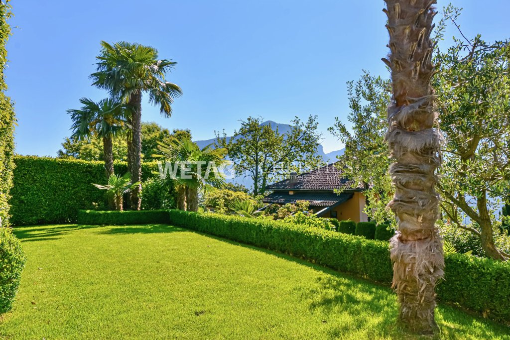 Exotischer Garten mit Bergblick