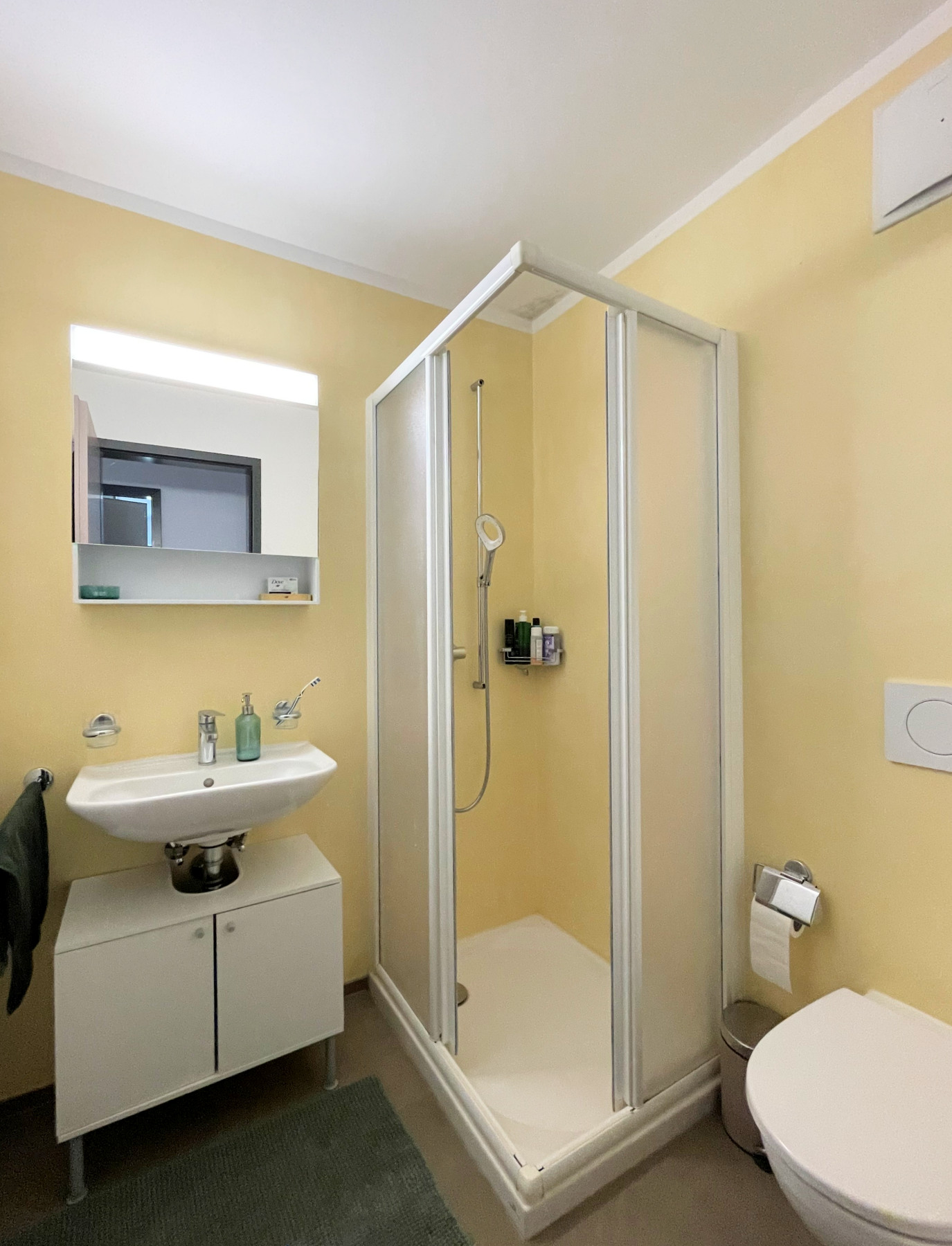 Modernes kleines Badezimmer mit Dusche