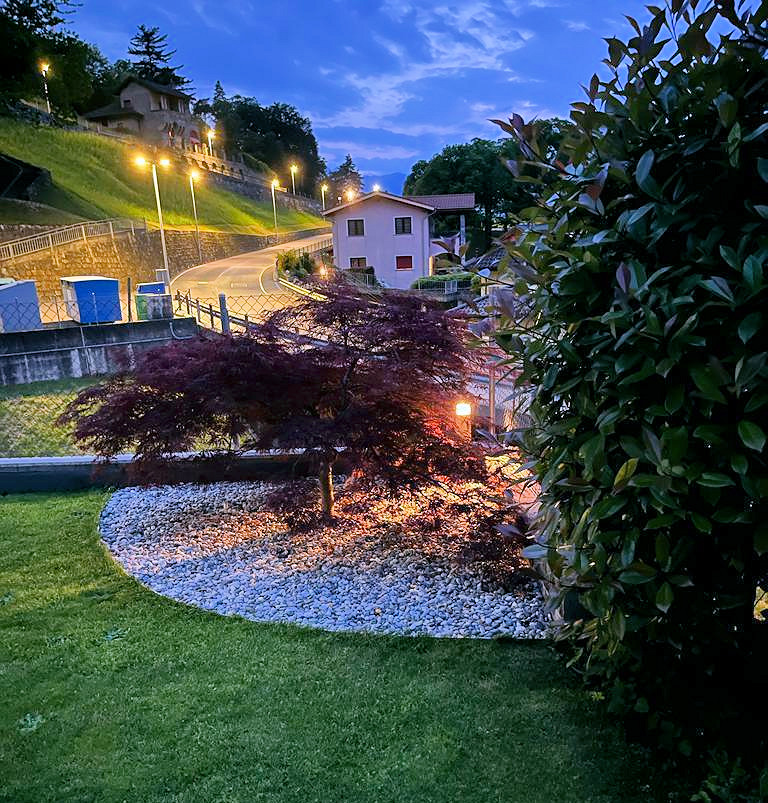 Abendlicher Außenbereich mit kurviger Zufahrtsstraße und Garten