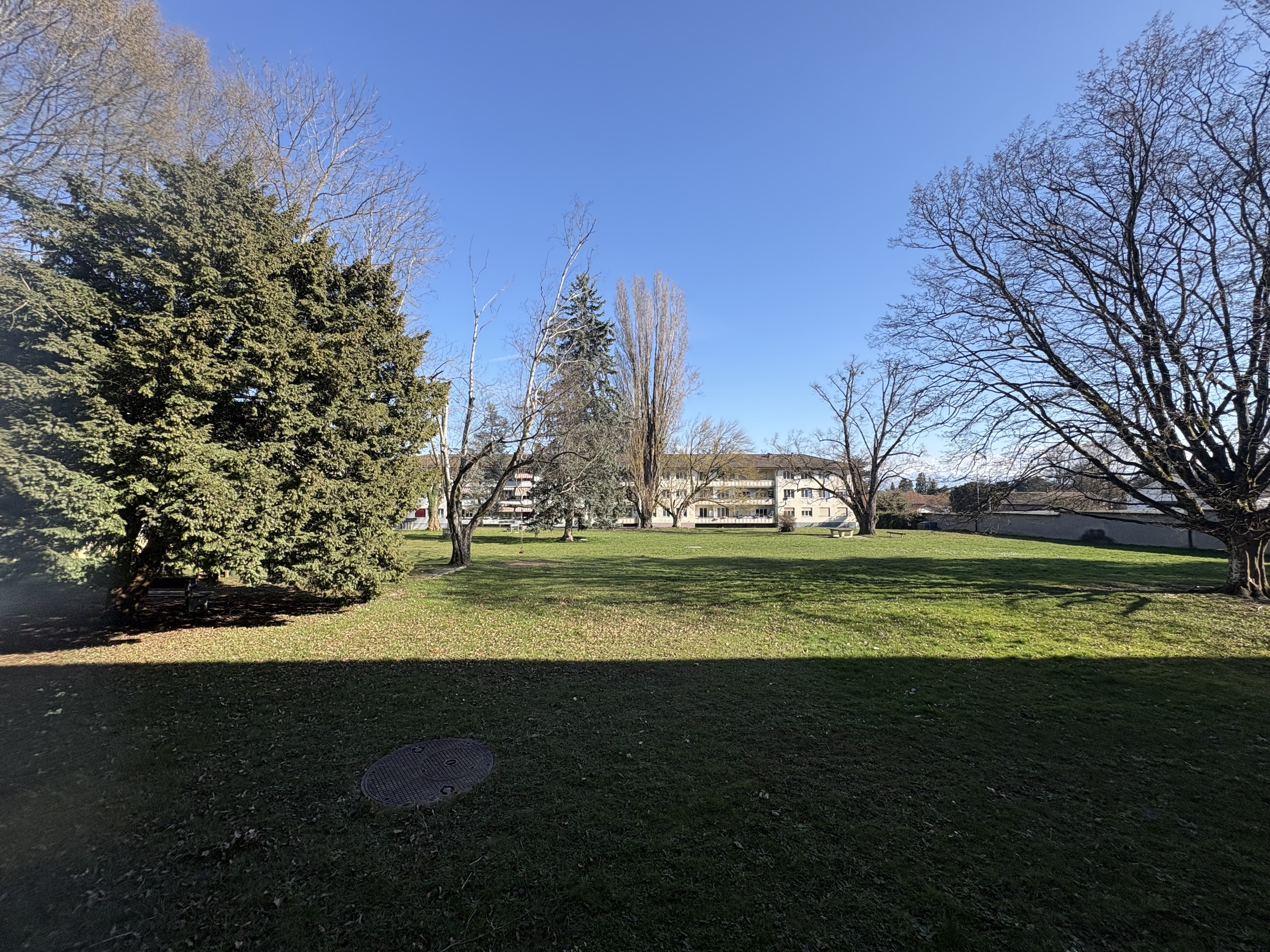 Grüne Parkanlage mit Wohngebäude im Hintergrund