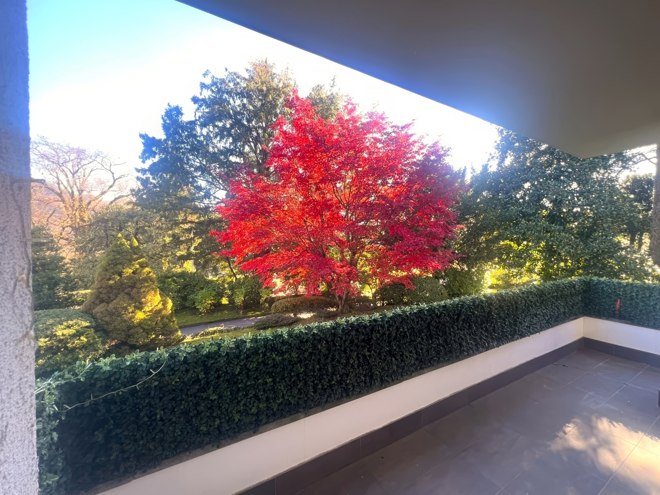 Balkon mit Gartenblick