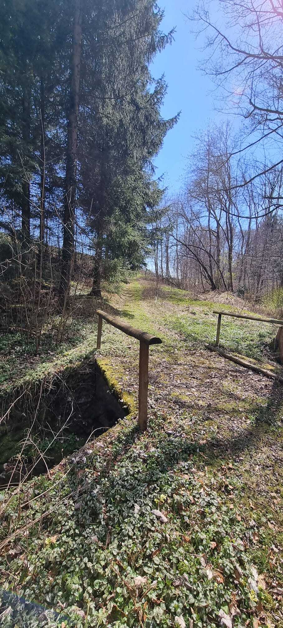 Waldweg mit kleiner Brücke