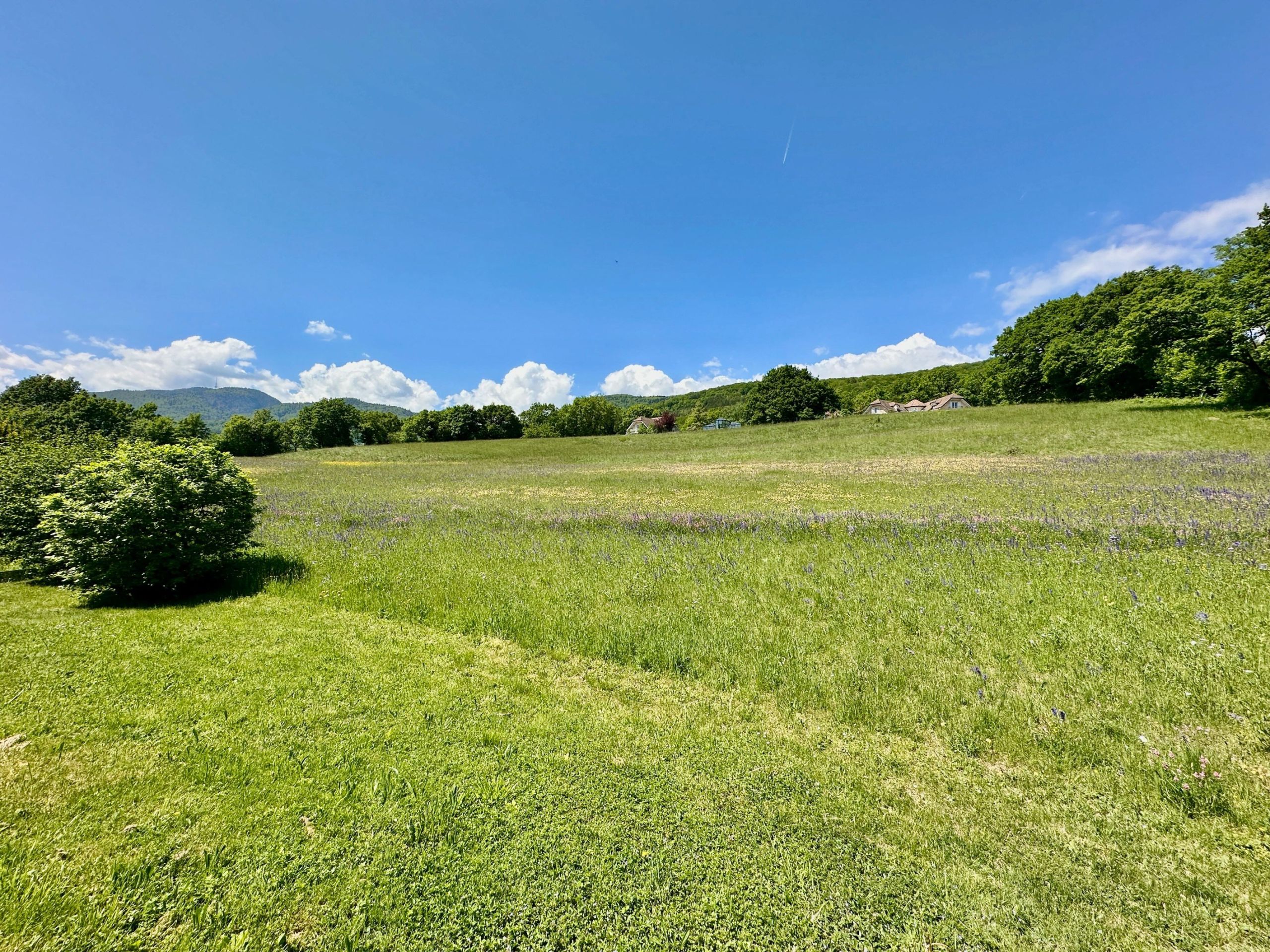 Weite Wiesenlandschaft mit Bergen
