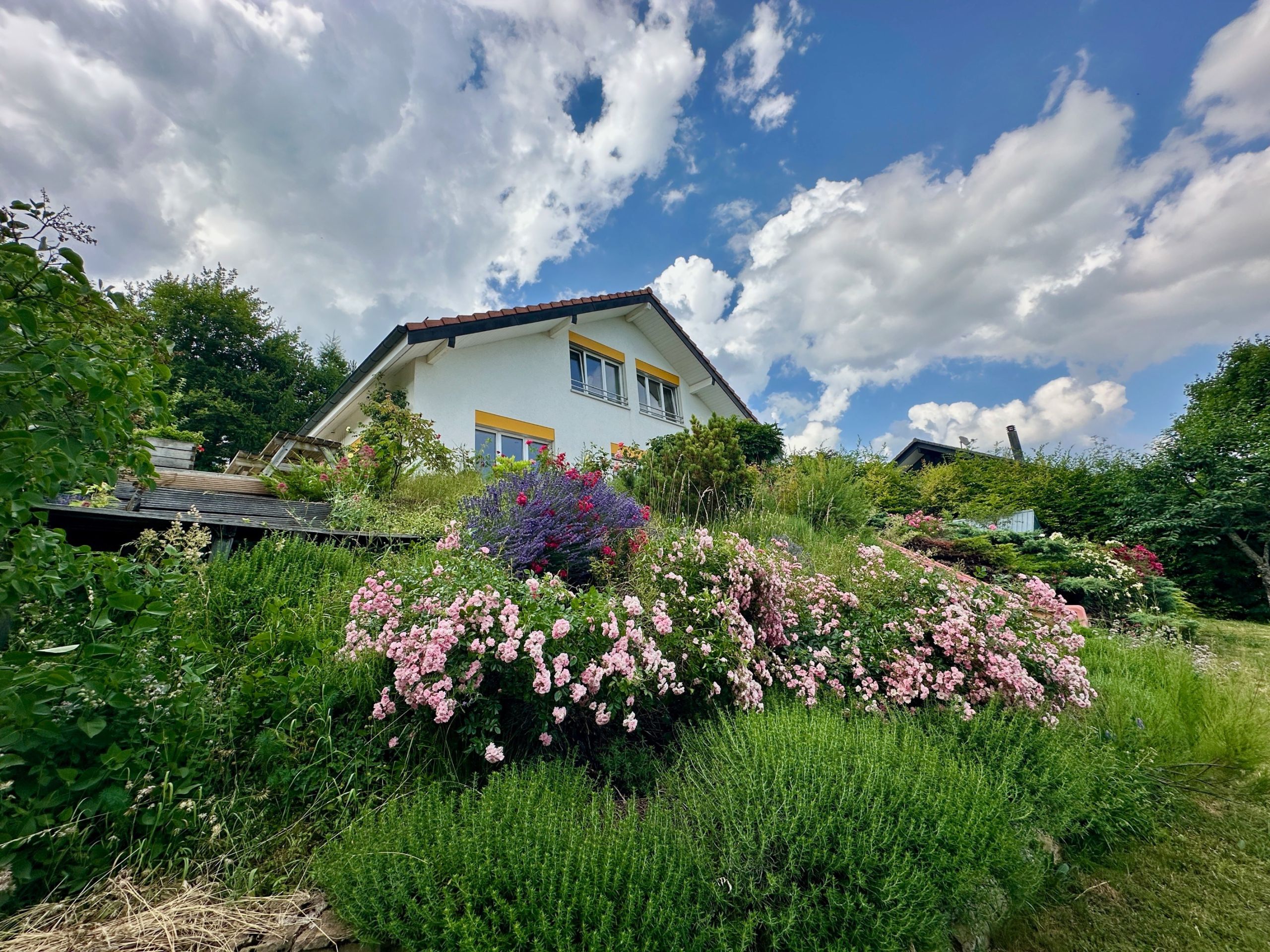 Haus mit üppigem Gartenhang