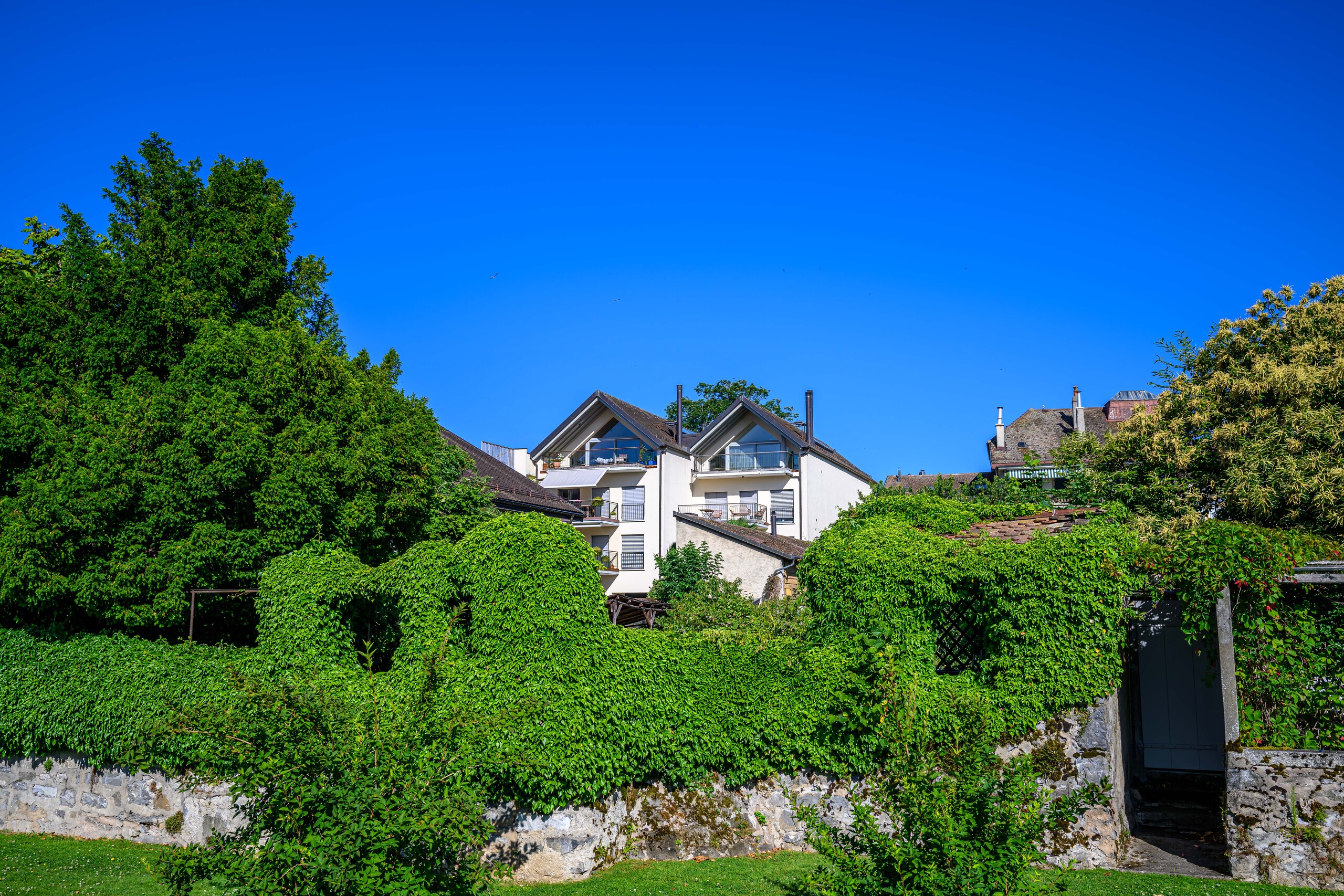 Grüne Wohnanlage mit Garten und Giebelhäusern