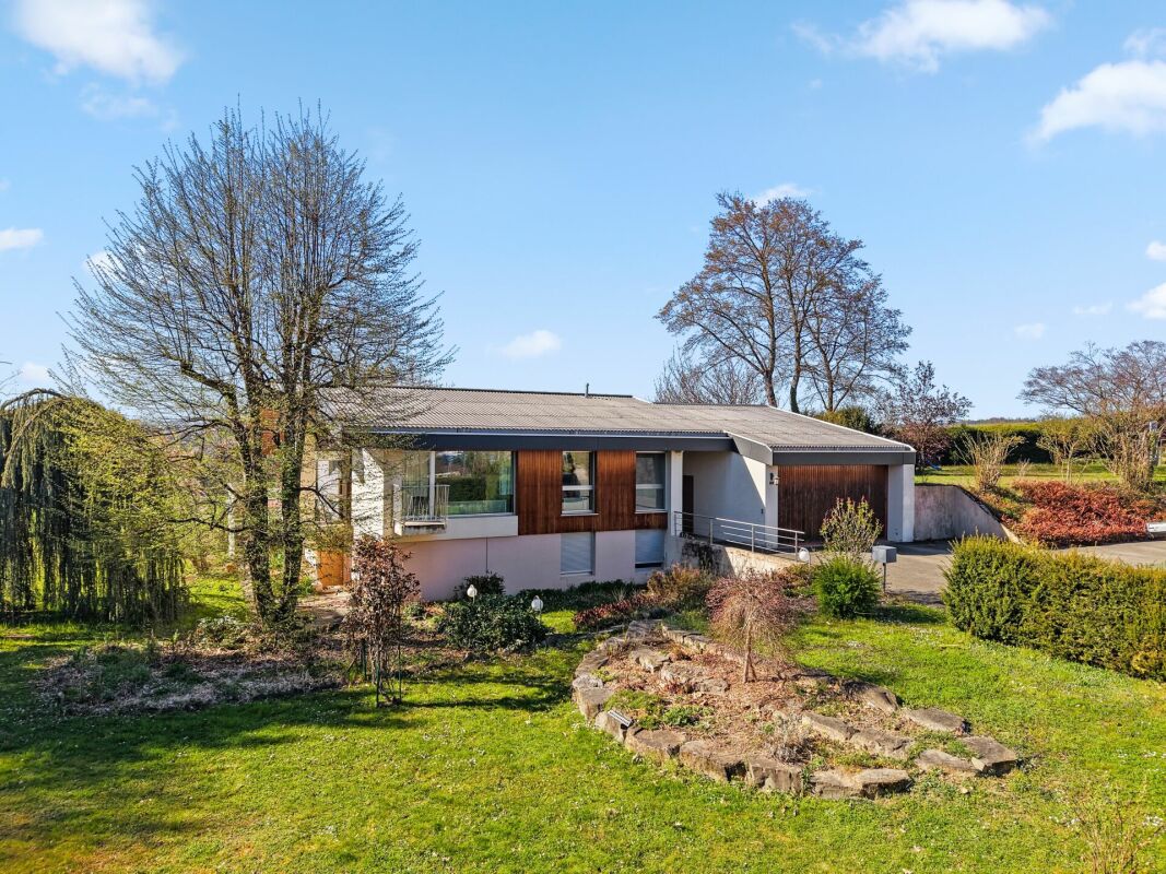 Modernes Einfamilienhaus mit Gartenansicht