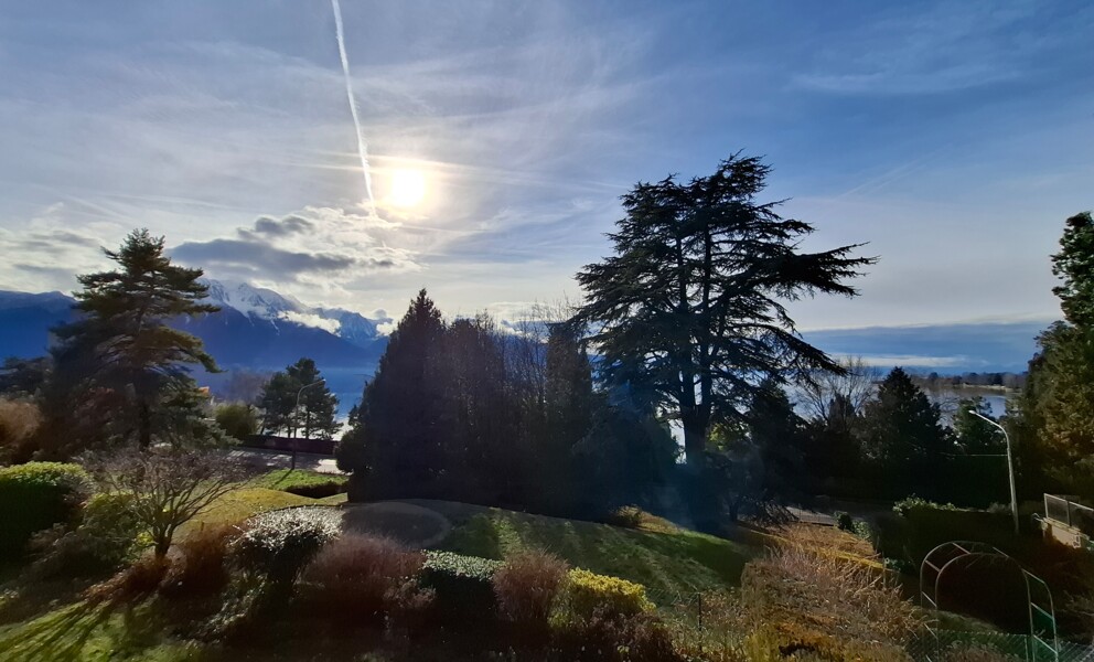 Landschafts- und Gartenblick mit Bergpanorama