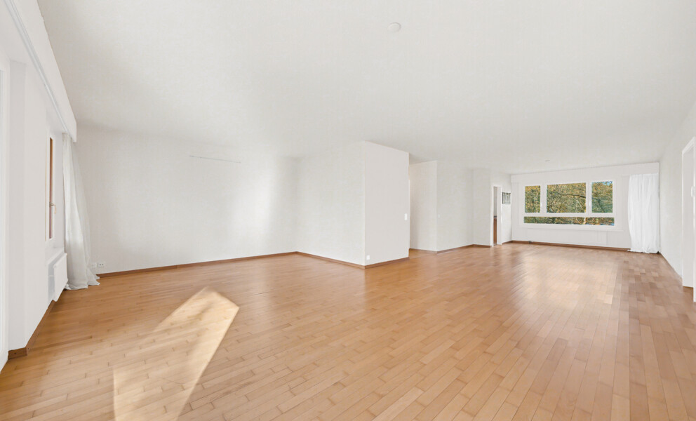 Großer leerer Wohnraum mit Holzboden und Tageslicht