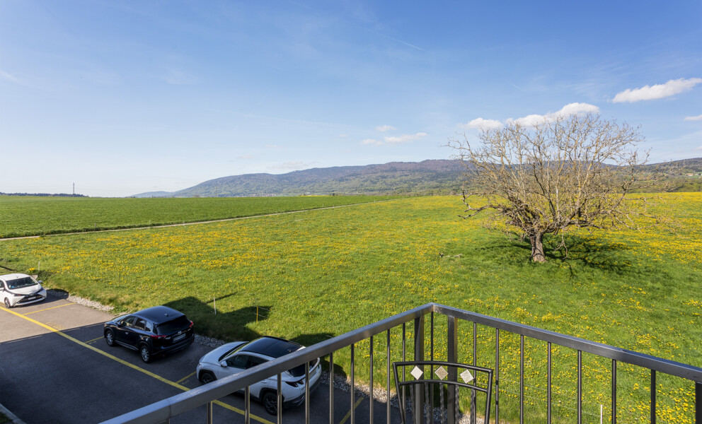 Blick über Wiese und Berge