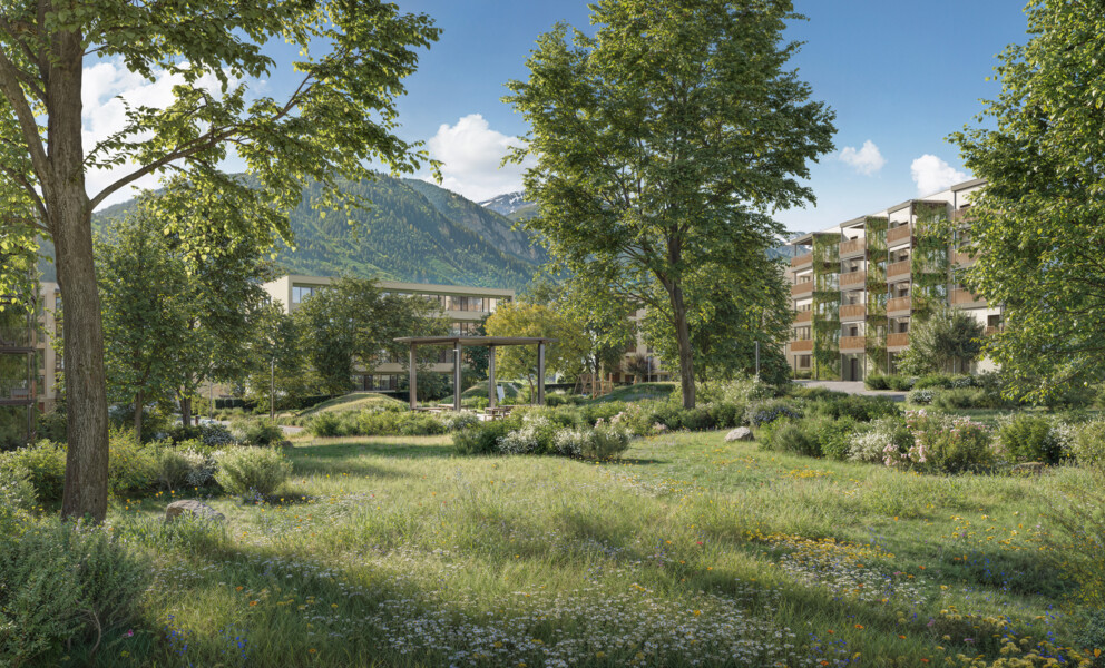 Grüne Wohnanlage mit Bergblick